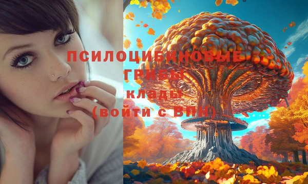 метамфетамин Гусиноозёрск