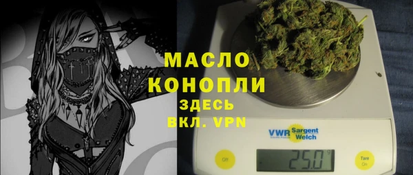 стаф Гусев