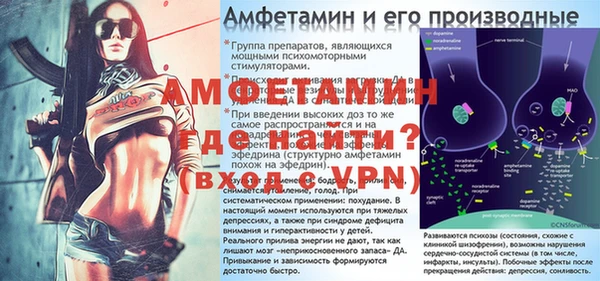 стаф Гусев
