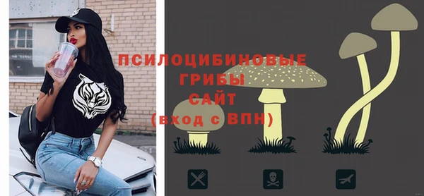 стаф Гусев