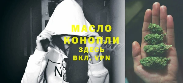 ПСИЛОЦИБИНОВЫЕ ГРИБЫ Гусь-Хрустальный