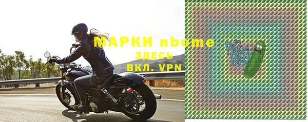 ПСИЛОЦИБИНОВЫЕ ГРИБЫ Гусь-Хрустальный