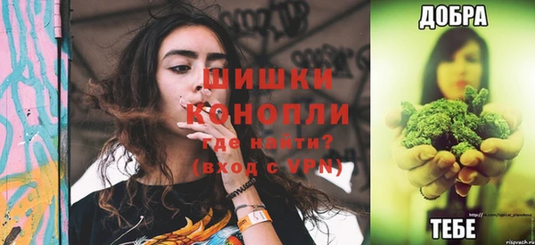 стаф Гусев