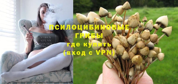 ПСИЛОЦИБИНОВЫЕ ГРИБЫ Гусь-Хрустальный