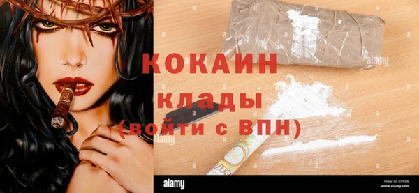 стаф Гусев