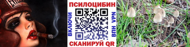 Купить где  Нижние Серги  Псилоцибиновые грибы ЛСД 